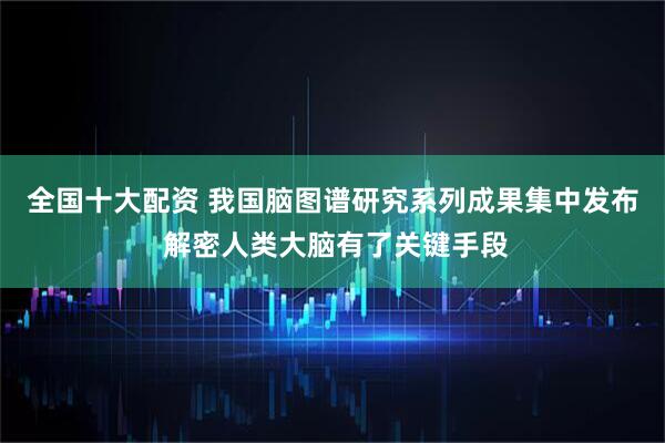 全国十大配资 我国脑图谱研究系列成果集中发布 解密人类大脑有了关键手段