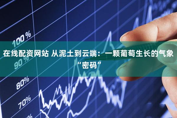 在线配资网站 从泥土到云端：一颗葡萄生长的气象“密码”